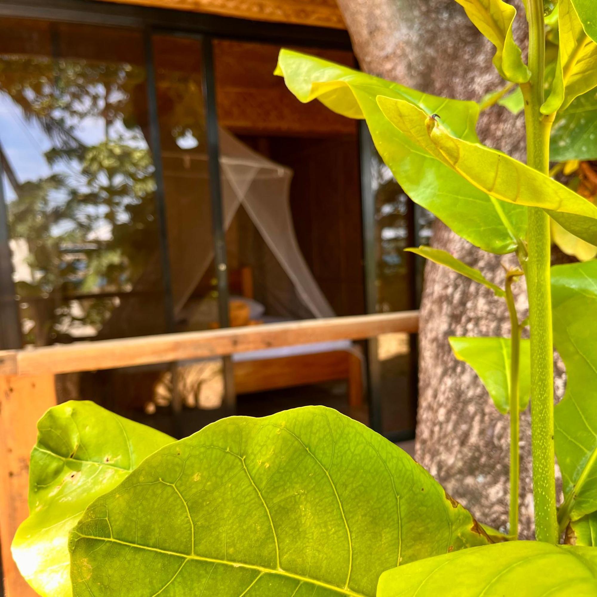 פוארטו גאלרה Amami Beachfront Villa With Private Beach מראה חיצוני תמונה