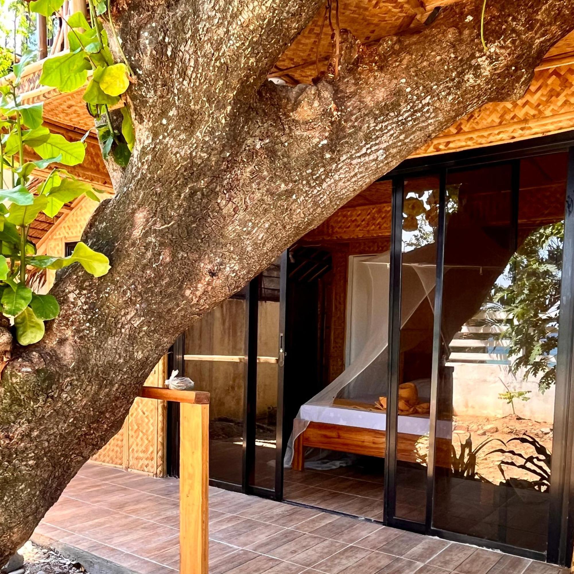 פוארטו גאלרה Amami Beachfront Villa With Private Beach מראה חיצוני תמונה